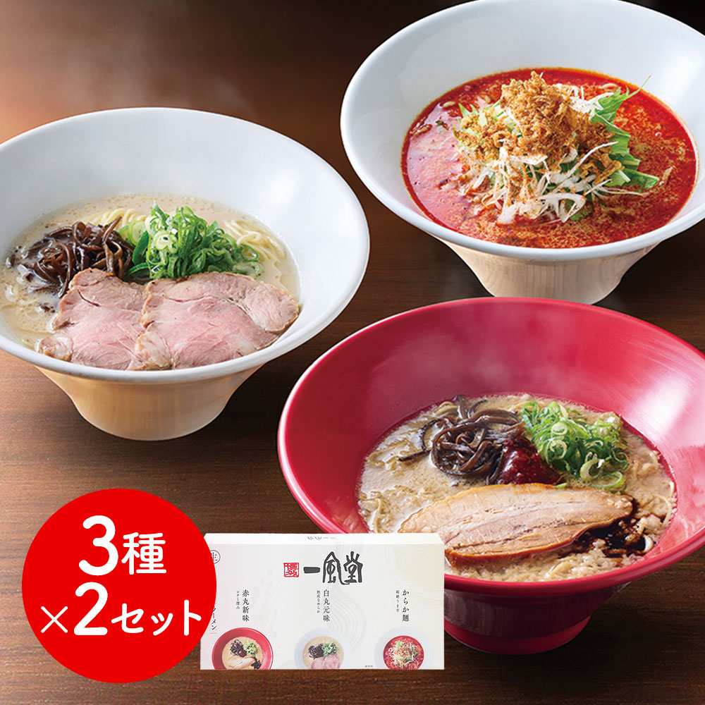 一風堂おみやげラーメン3種セット×2セット