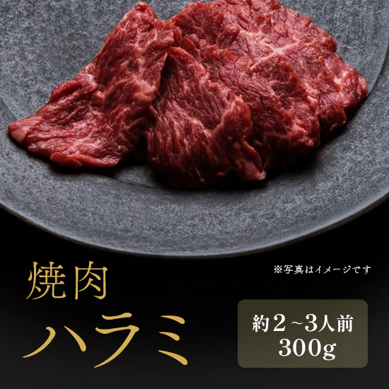 焼肉 ハラミ 外国産 300g×1P