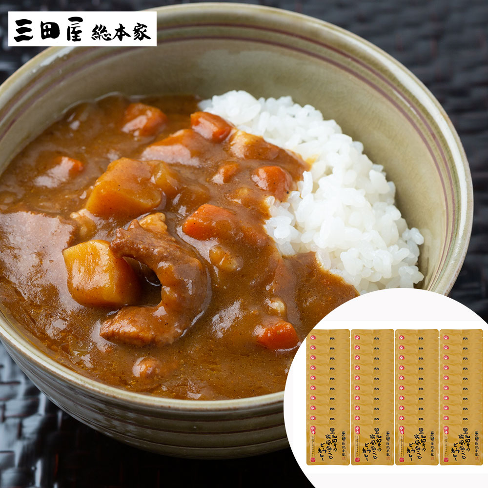 三田屋総本家 黒毛和牛の欧風ちょこっとビーフカレー中辛(40食)