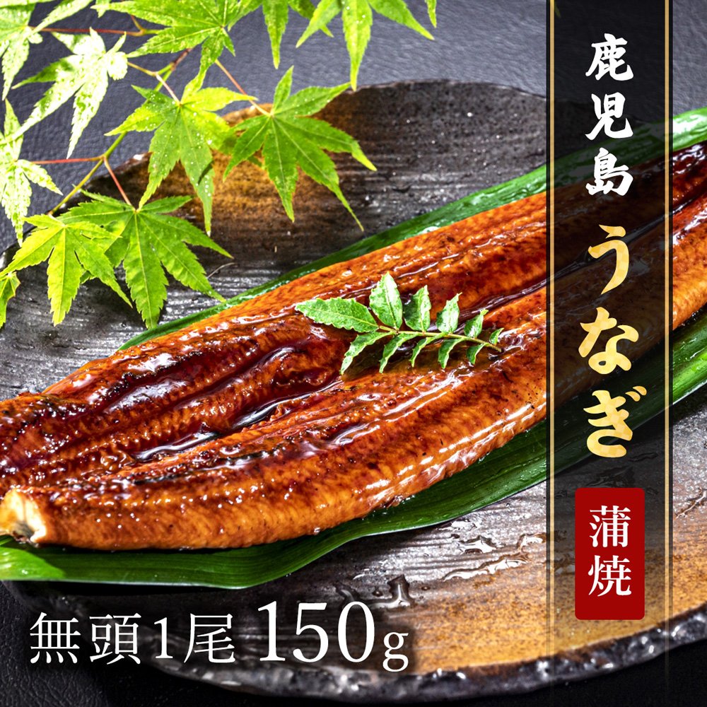 鹿児島うなぎ無頭 蒲焼1尾150g × 1P ※タレ・山椒付