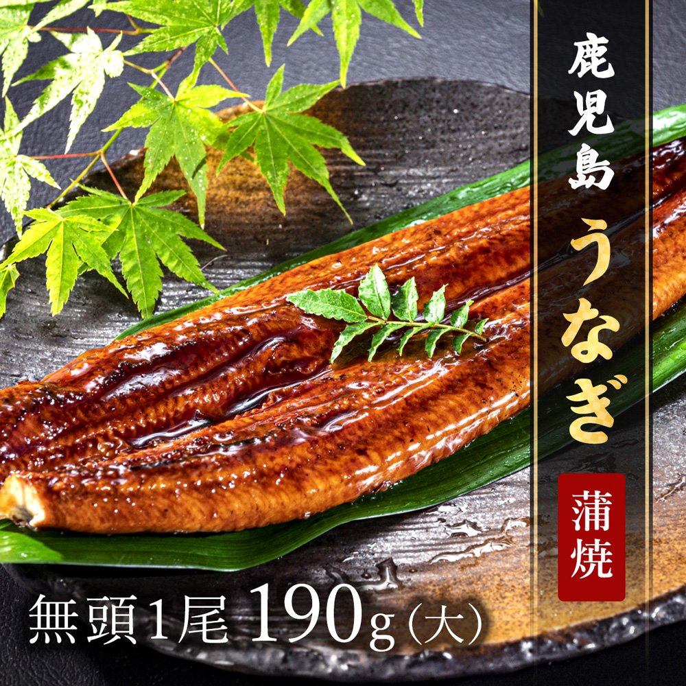 鹿児島うなぎ無頭 蒲焼1尾(大)190g × 1P ※タレ・山椒付