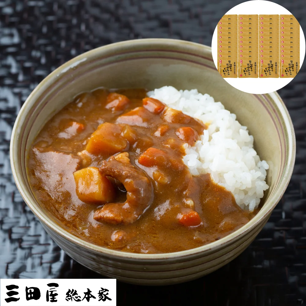兵庫 「三田屋総本家」黒毛和牛の欧風ちょこっとビーフカレー (40食)