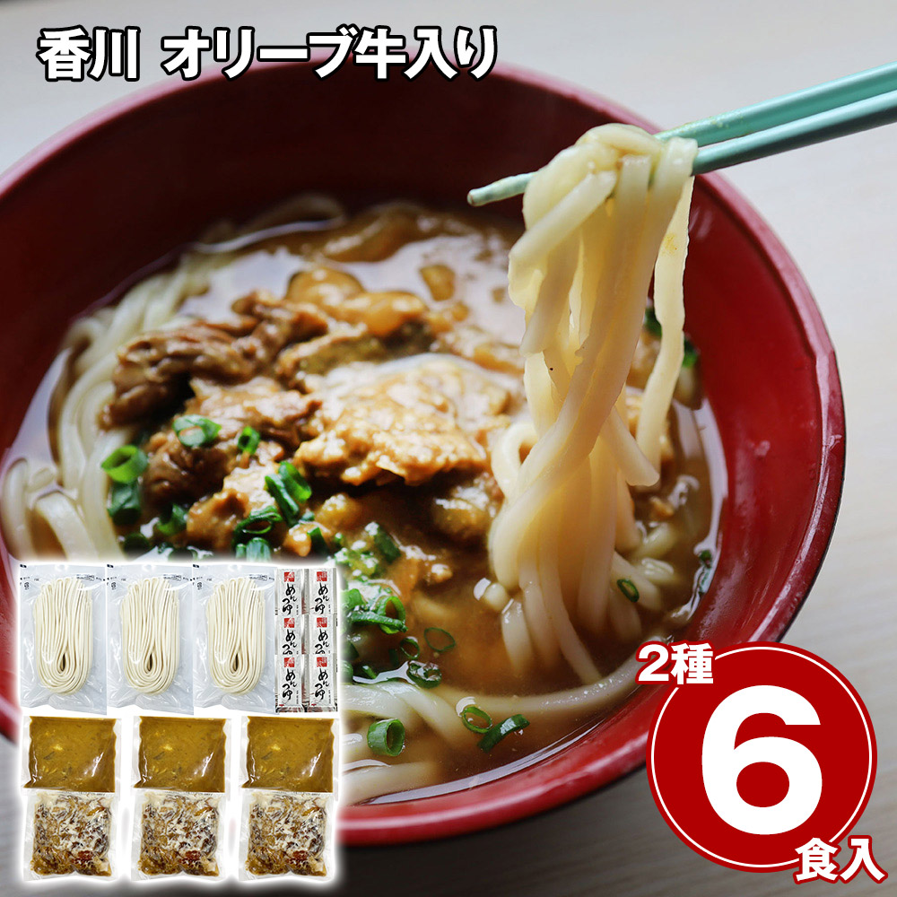 香川 オリーブ牛入り とろけるすじ煮込み&カレーうどん6人前