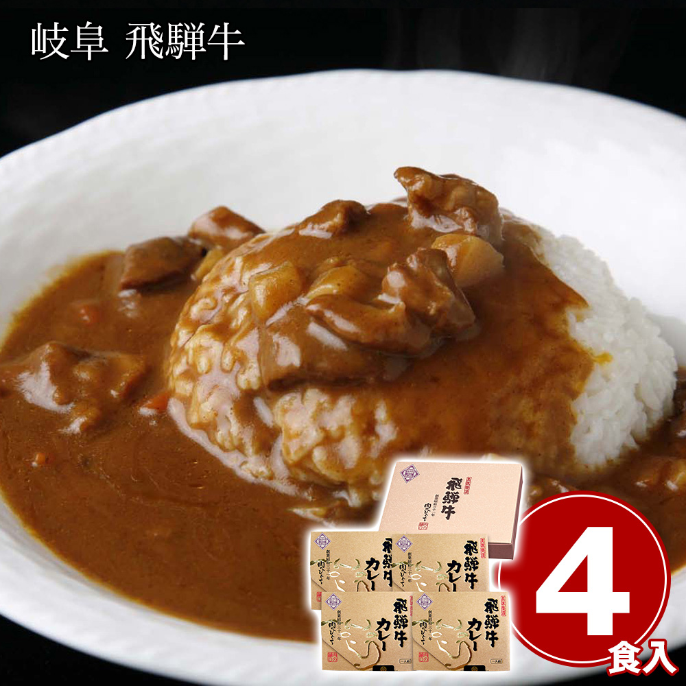 岐阜 飛騨牛カレーセット 4食