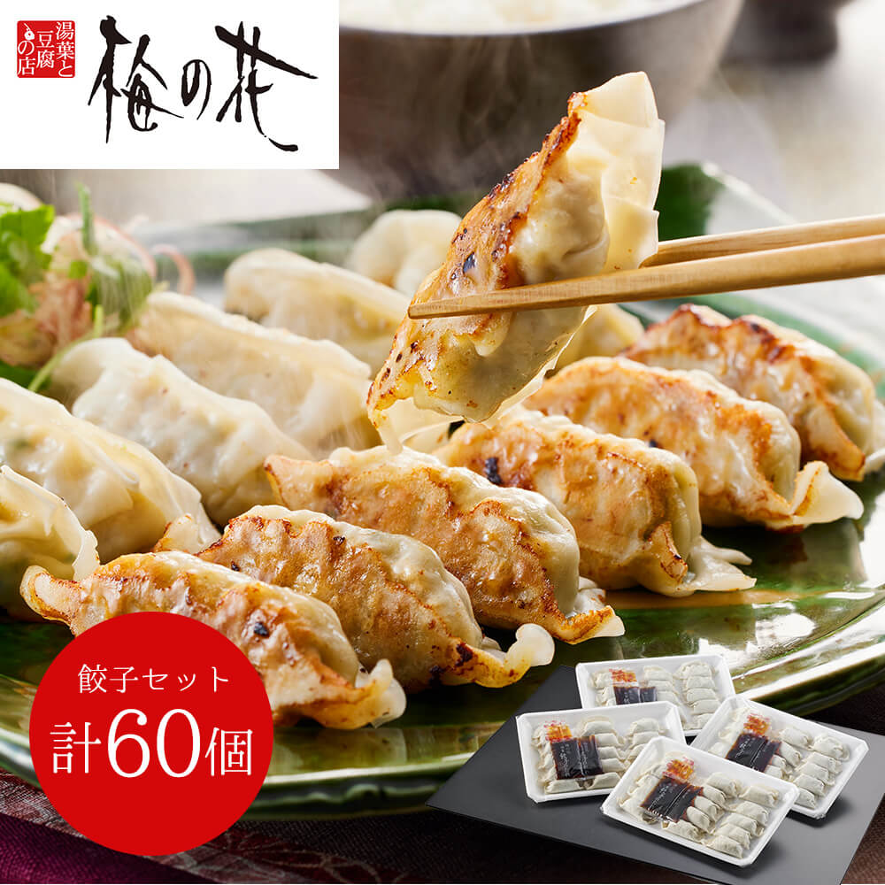 「梅の花」 餃子セット(計60個)