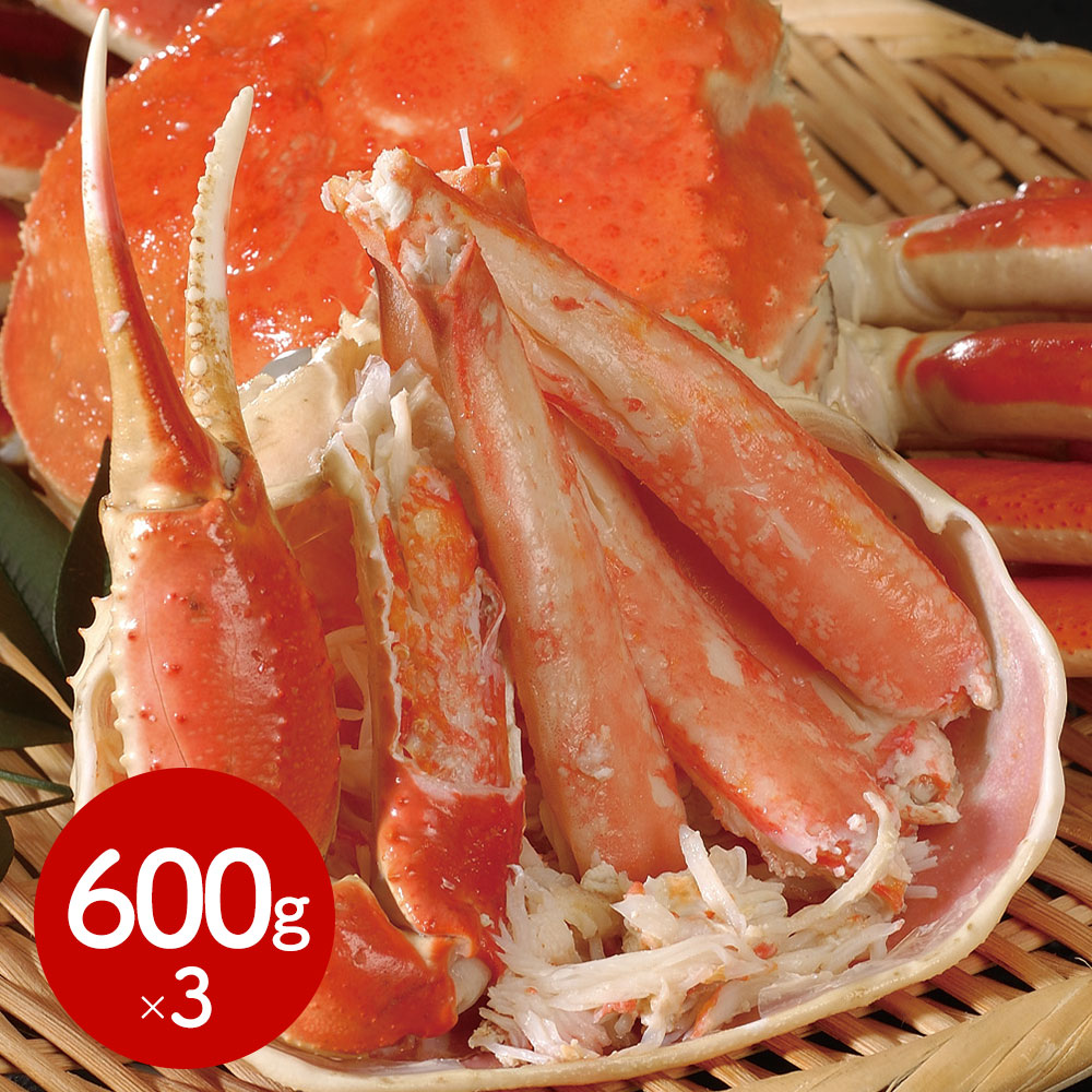 ボイルずわいがに姿 600g×3杯