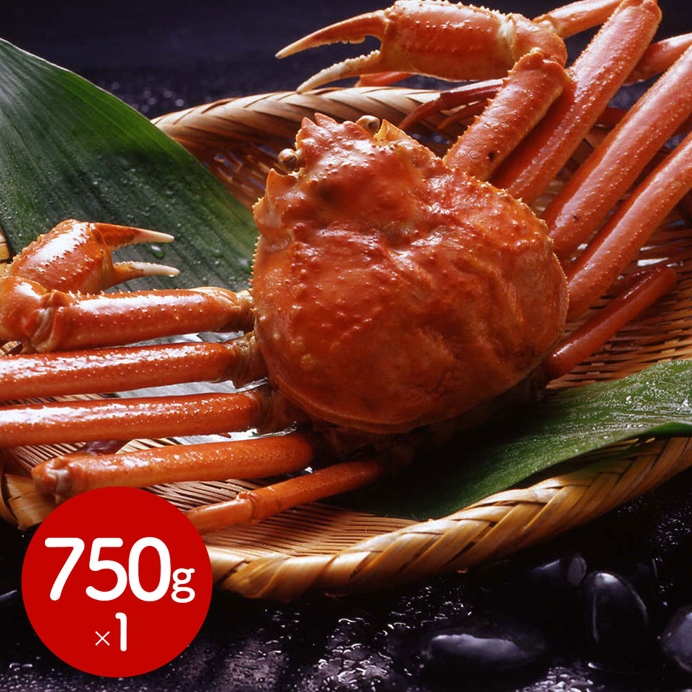 ボイルずわいがに姿 750g×1杯