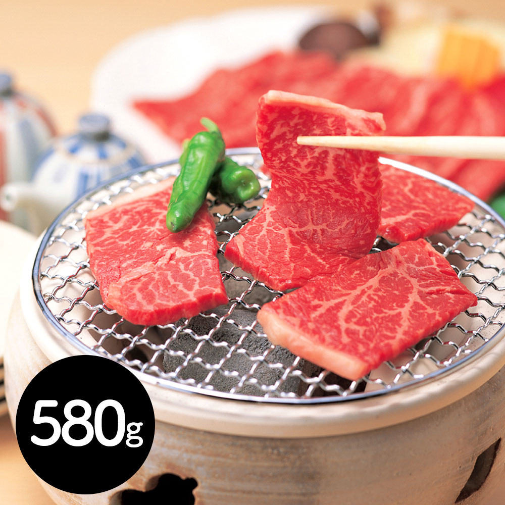 岐阜 「JAひだ」 飛騨牛モモ焼肉用 580g