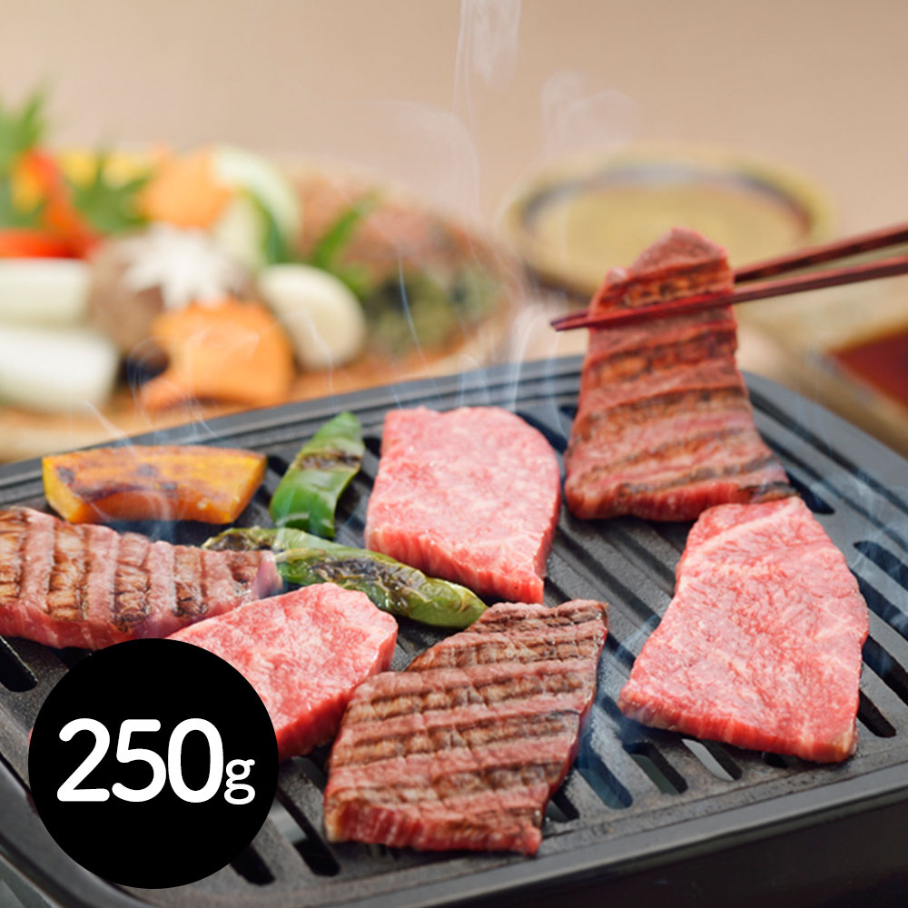 岐阜 「JAひだ」 飛騨牛もも焼肉用 250g