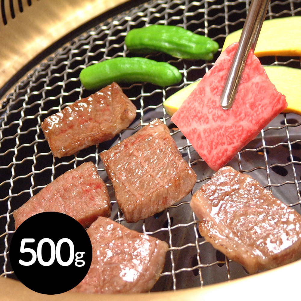 岐阜 「JAひだ」 飛騨牛肩ロース焼肉用 500g