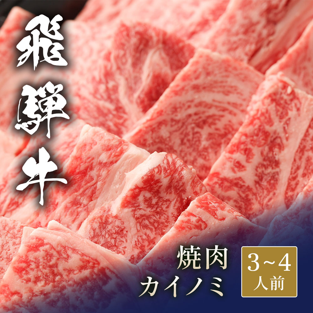 飛騨牛 焼肉 カイノミ 500g