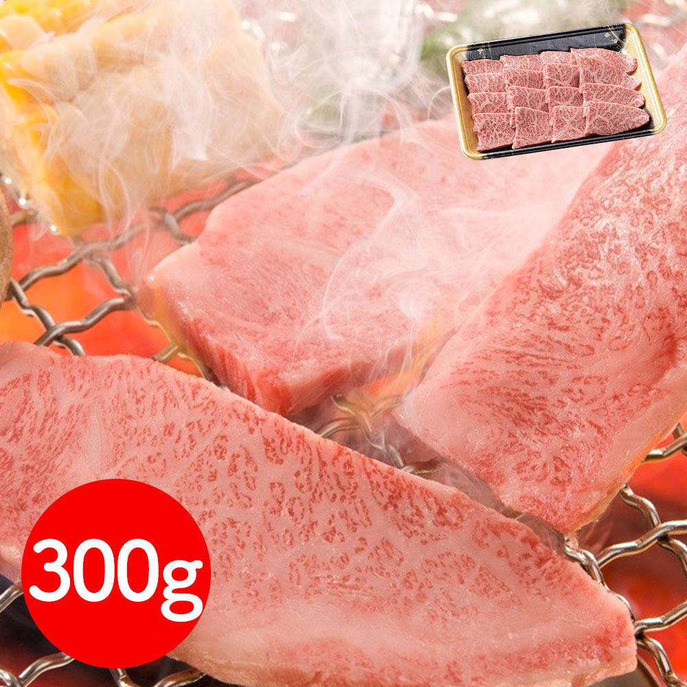 岩手 「前沢牛オガタ」 前沢牛モモ焼肉用300g