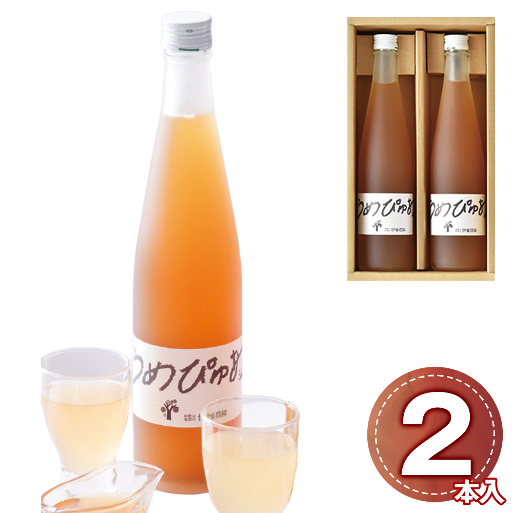 伊藤農園 うめぴゅあシロップ2本セット 500ml×2本 1101